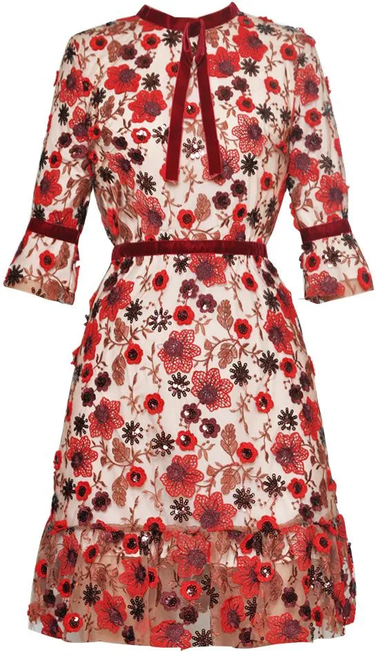 Embellished Embroidered Floral Mini Dress