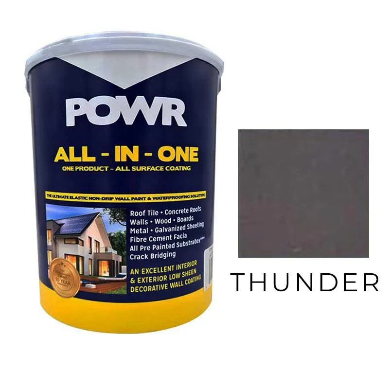POWR All In One All Surface Paint