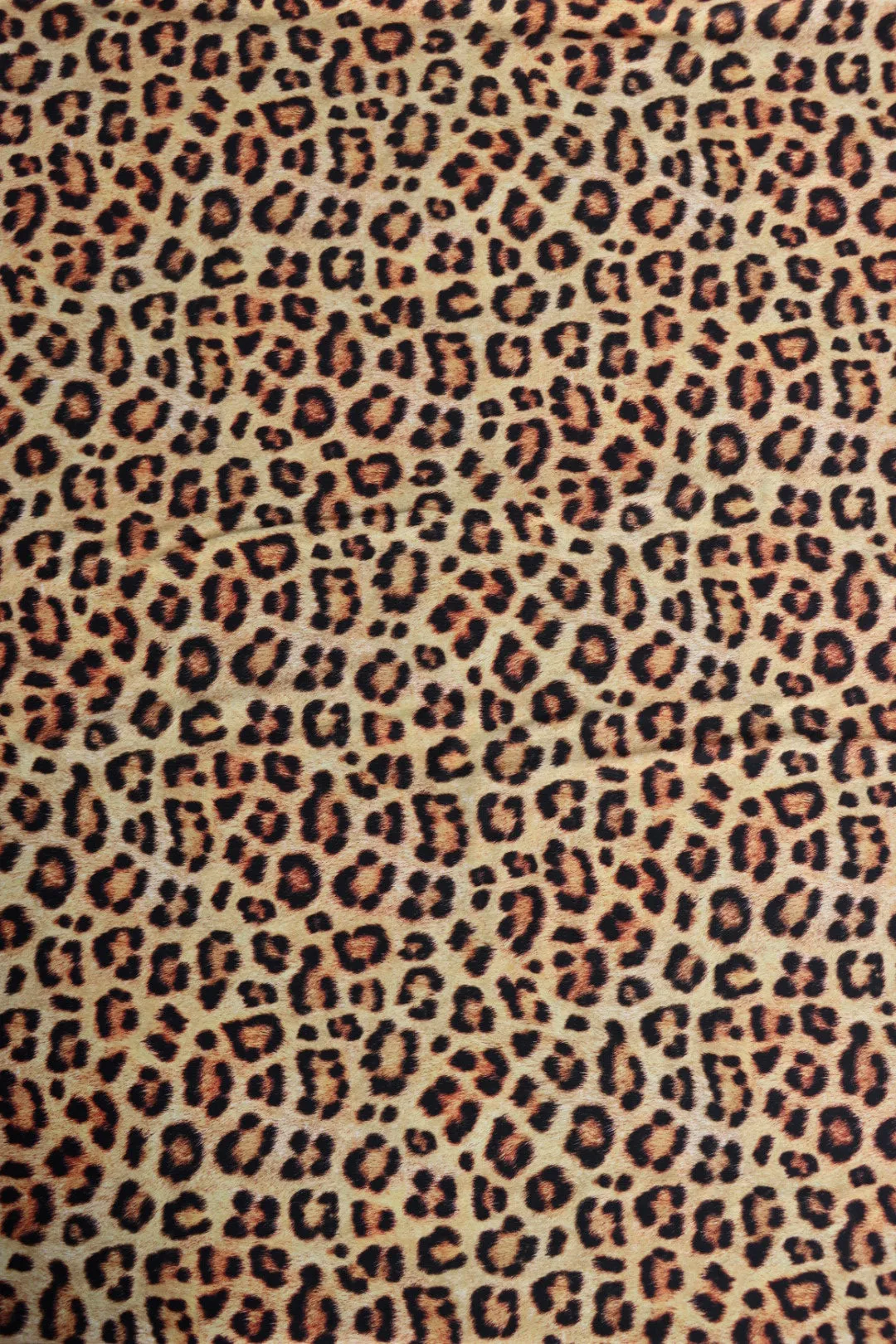 Wild | Mandalay Performance Knits | Robert Kaufman